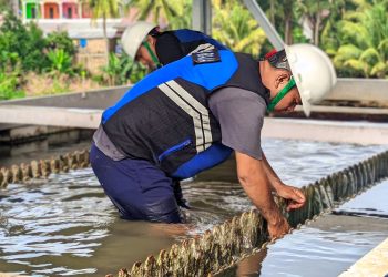 Pengurasan Masif, Guna Tingkatkan Kualitas Air