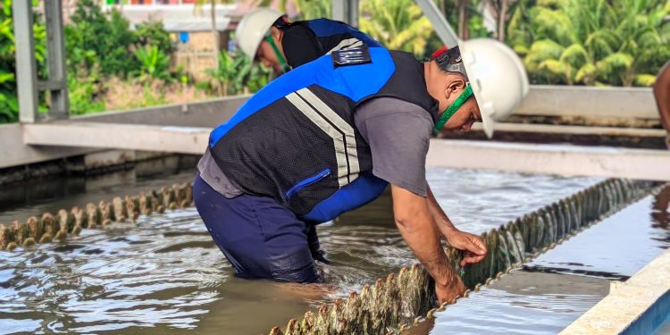 Pengurasan Masif, Guna Tingkatkan Kualitas Air