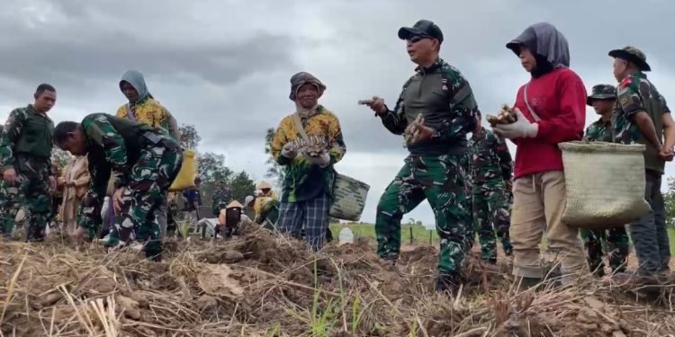 Mikroba PA63 Penyubur Tanah, Racikan Brigjen Dany Rakca