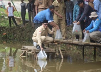 Galakkan Ketahanan Pangan Sektor Perikanan, Bupati Restocking 70 ribu Bibit Ikan di 6 Kecamatan